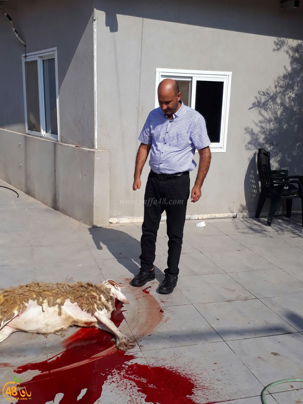 dab7 ada7y wu3ed (38).jpg